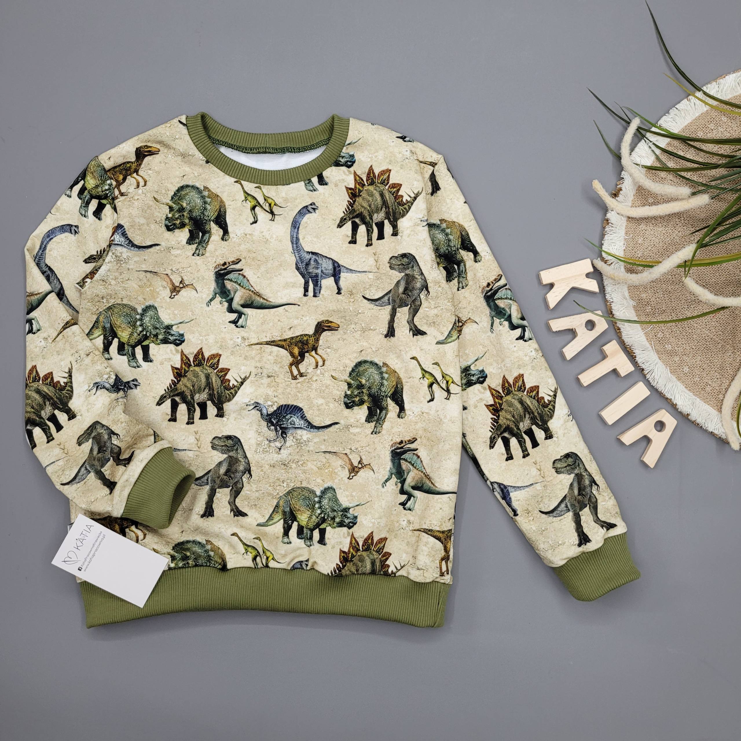 Bluza Dinozaury Na Piasku